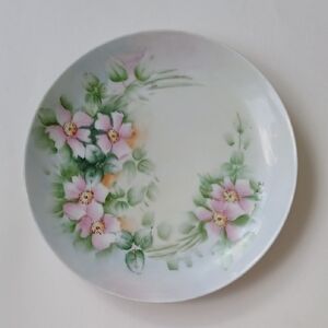 J&C Bavaria "Dayton" Hand Painted Wild Roses a/s Porcelain Plate 8.5"
